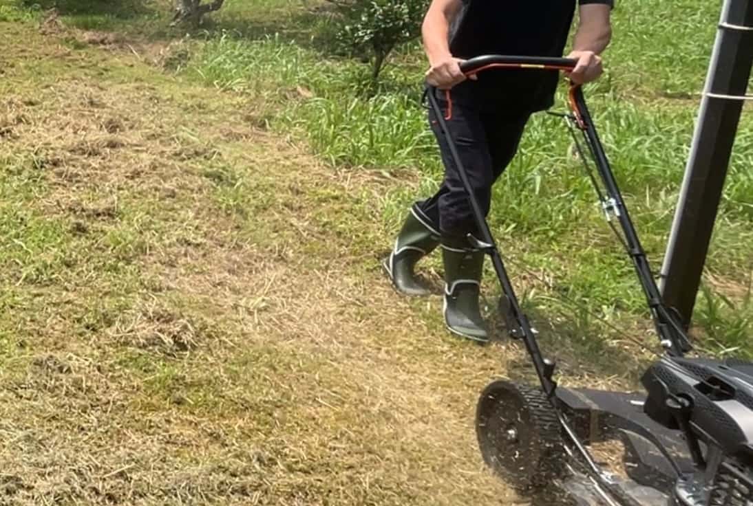 自走式草刈機で実際に作業している様子
