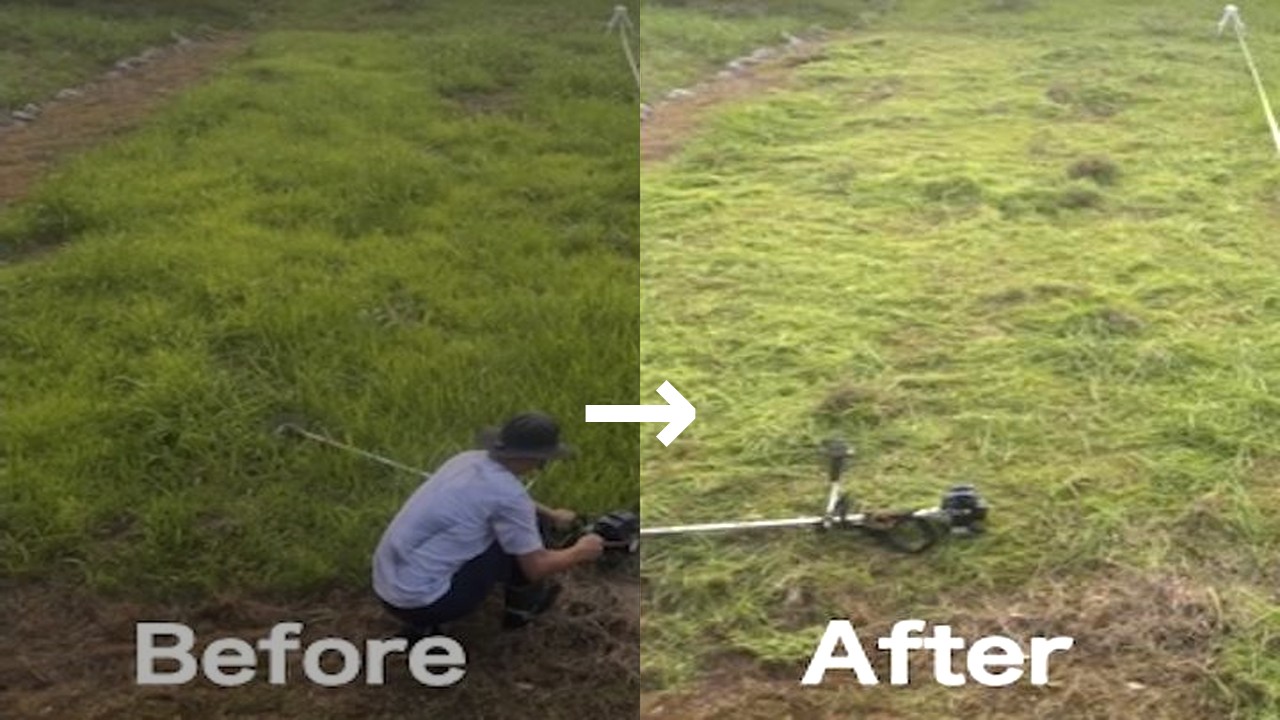 草刈りを楽にするコツ