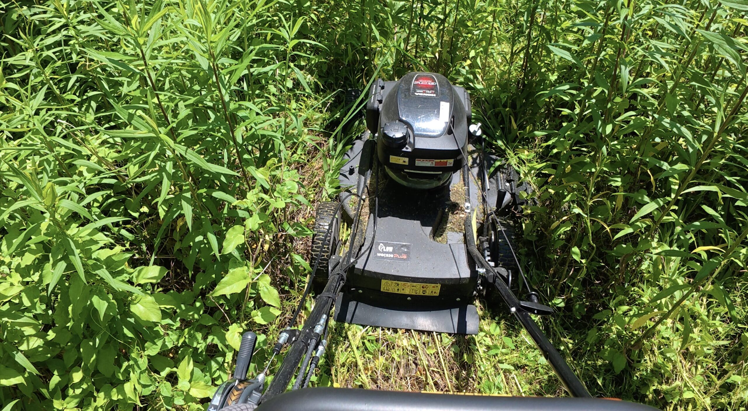 プラウWGC530プラスで胸丈の草を刈る様子