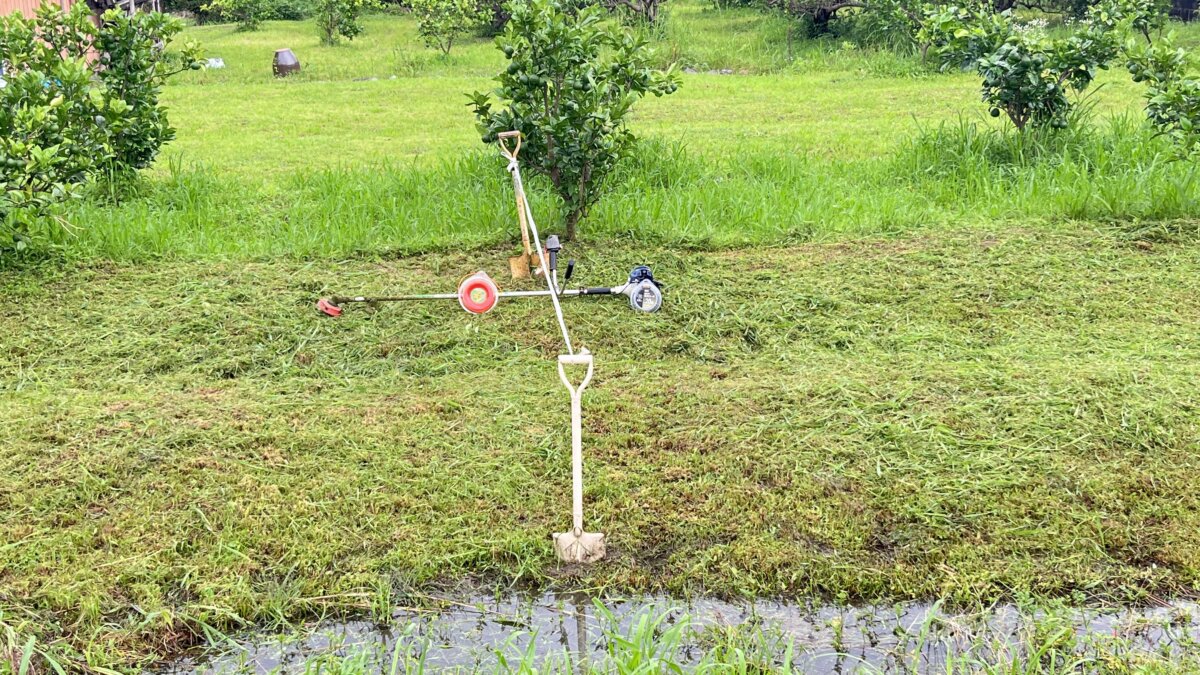 丸型とツイスト型のナイロンコードで草刈りをした後の草地